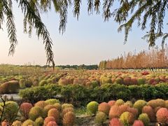 -嘉北郊野公园