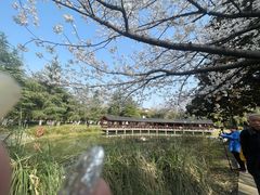 -堤角公园