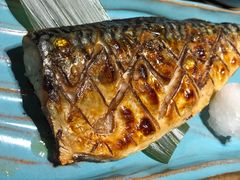 -綱元·海鲜豆捞(明州里店)
