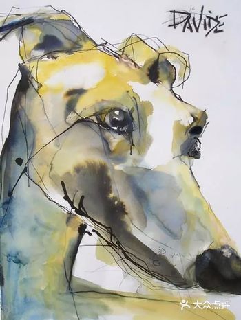 画成这样，真的很帅！  