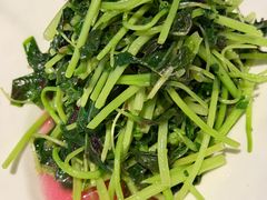 -茶人村·前滩江景雅宴(上海首店)