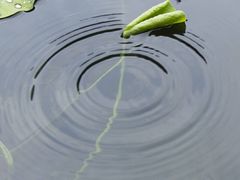 -府学·秋果S酒店(北京南锣鼓巷四合院店)