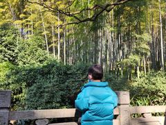 -杭州黄龙洞