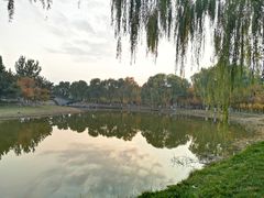 -大兴滨河森林公园