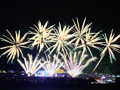 -泰达航母主题公园