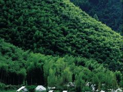 -藏龙百瀑风景区