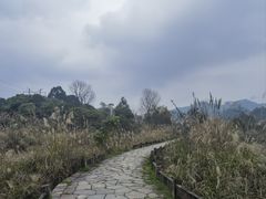 -樱桃山旅游景区