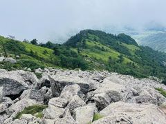 -秦岭风景区