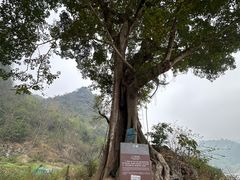 -三门海