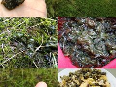 -经纬·泓汇地标家园