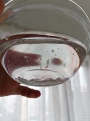 -Yukina Plus专业日式美肌