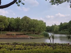 -九科绿洲