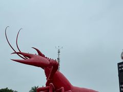 -虾皇(龙虾城旗舰店)