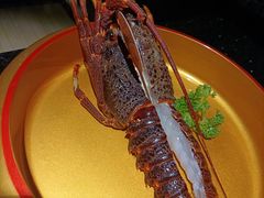 龙虾-上井料理黑金店(IFS国金中心店)