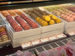 -Pierre Marcolini(德基广场店)