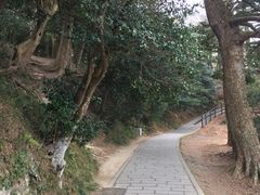 -松岛