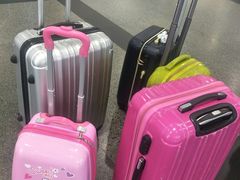 -厦门高崎国际机场-T3航站楼