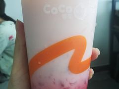 -CoCo都可(文星广场店)