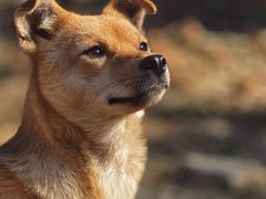 -龙洞风景区-藏龙涧