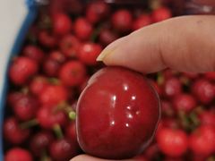 -水果地带(银泰城店)