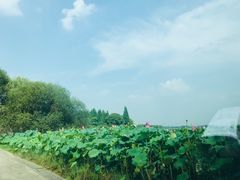 -东湖落雁景区