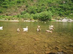 -白河湾生态旅游一条川