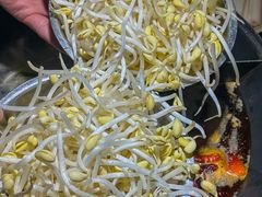 -阳阳老火锅(小南门店)