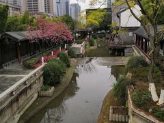 -龙潭水乡