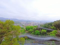 -福道