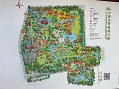-上海共青森林公园