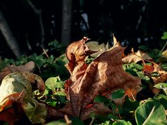 -苏州河梦清园环保主题公园