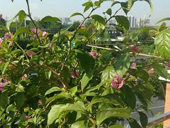 -嘎嘎鸭下巴·爆辣干锅(女人街店)