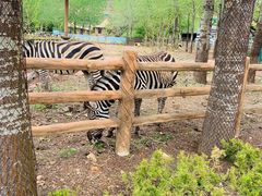 -大连森林动物园