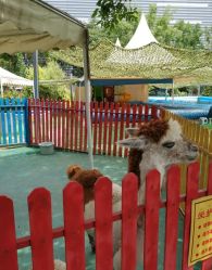 -萌宠亲子动物乐园(槐房万达店)