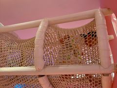 -水之梦(黄浦店)