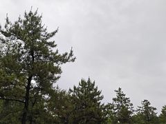 -晋祠博物馆