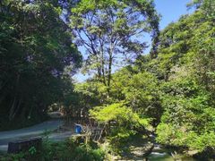 -桂山风景旅游区