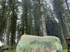 -硗碛藏寨·神木垒景区