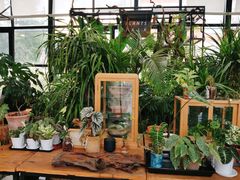 -北马山庄植趣咖啡