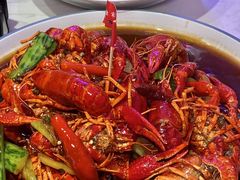 -杨氏青龙虾·羊蝎子(托乐嘉店)