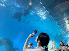 -海棠湾洲际-涛·海底餐厅·美人鱼·自助餐·海底隧道