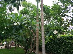 -柬埔寨国家博物馆