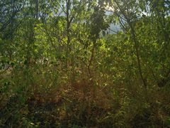 -涂山风景区