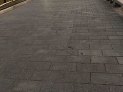 -芒洲湿地公园