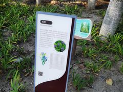 -大兴滨河森林公园