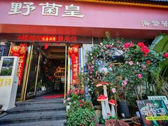 -野菌皇海景野生菌火锅(滨海大道店)
