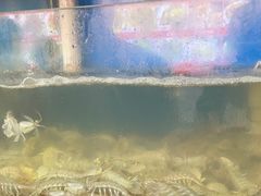 -北港方记海鲜楼·海景餐厅
