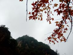 -浙西大峡谷