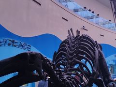 -陕西自然博物馆