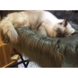 -隅日式美甲美睫專門店